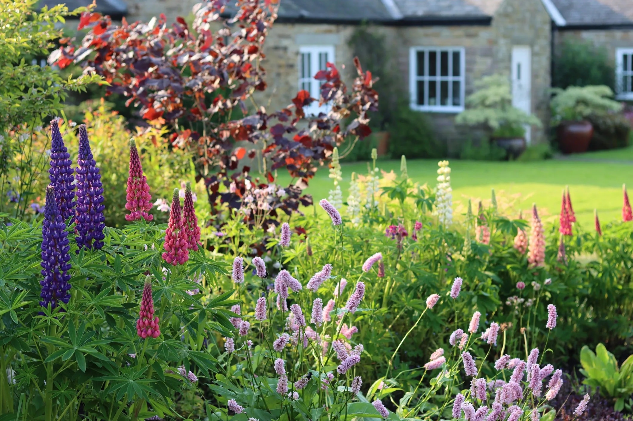 Perennial Garden Beds